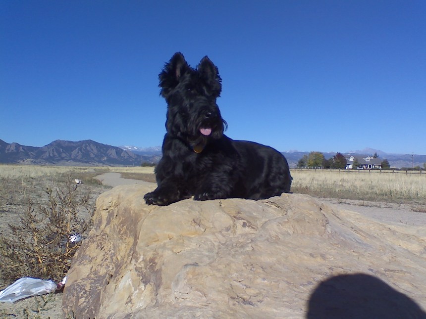 Ronan MacScottie on Davidson Mesa