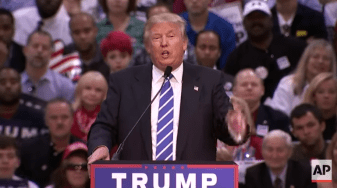 Donald Trump, Public Idiot