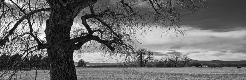 boulder-landscape-winter