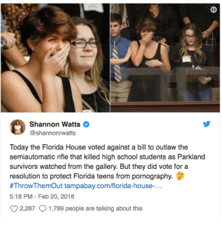 FL legislators act on porn, not guns