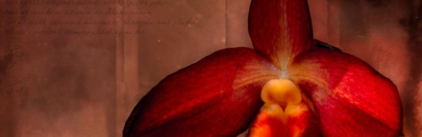 the-sea-is-calm-tonight-abstract-orchid