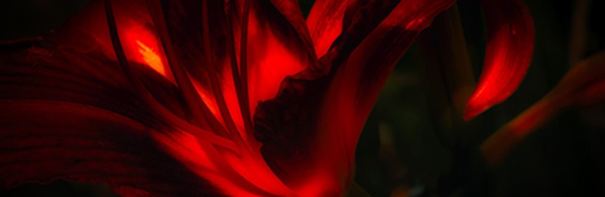 marriage-of-heaven-and-hell