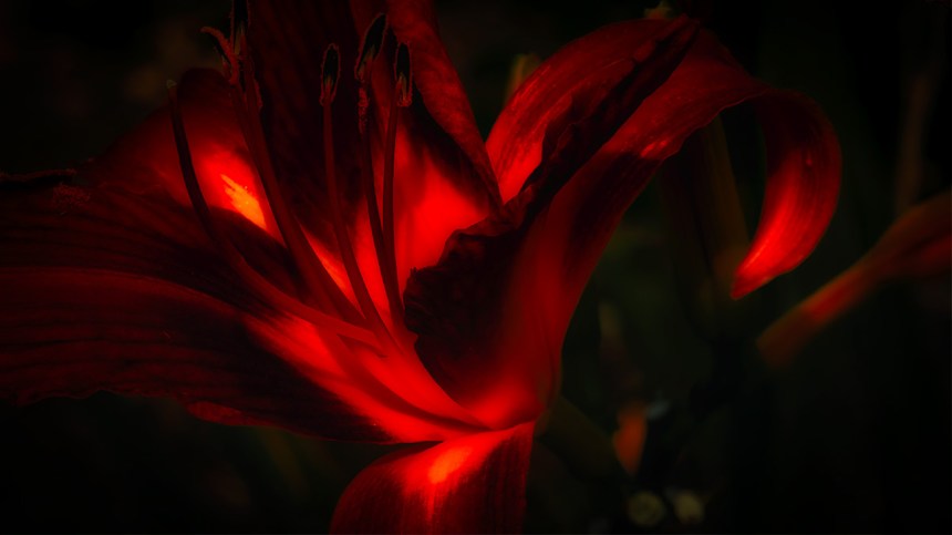 The Marriage of Heaven and Hell