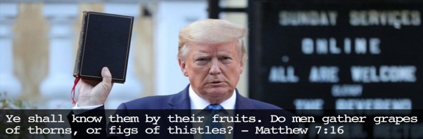 Ye shall know them by their fruits. Do men gather grapes of thorns, or figs of thistles? - Matthew 7:16